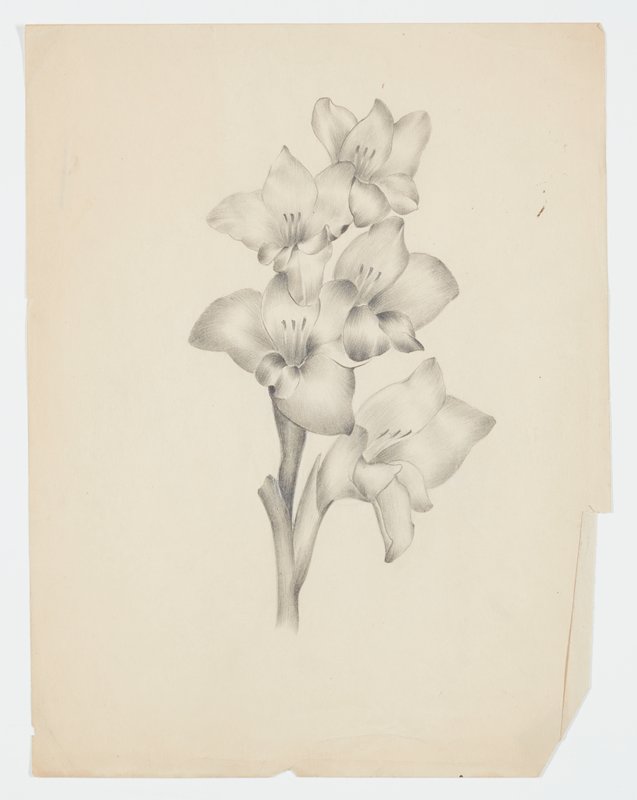 Drawing, Theodore Roszak, 20th century