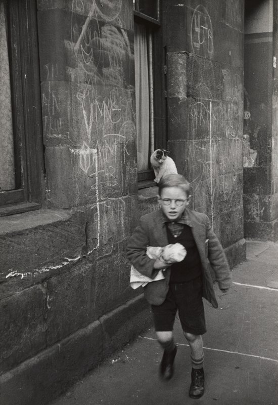 Boy in round glasses walking pass by a cat, Glasgow, Scotland, Jacques Lowe, c. 1955