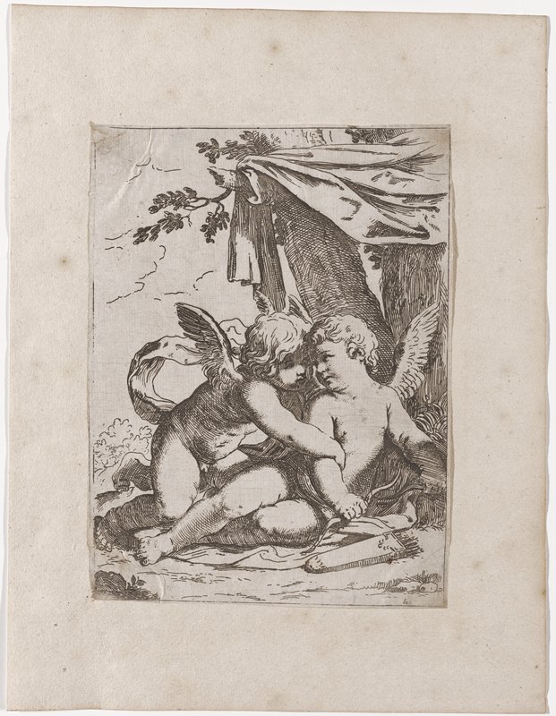 Two cupids under a tent, Lorenzo Loli, 1640
