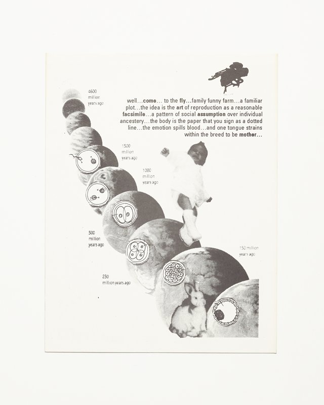 Card/Insert: well...come... to the fly..., Fly NYC, 20th century