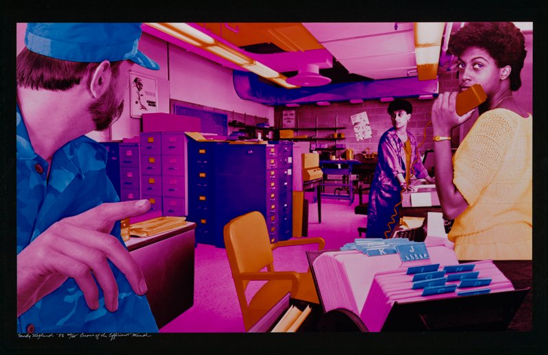 Error of the Efficient Mind, Sandy Skoglund, 1986