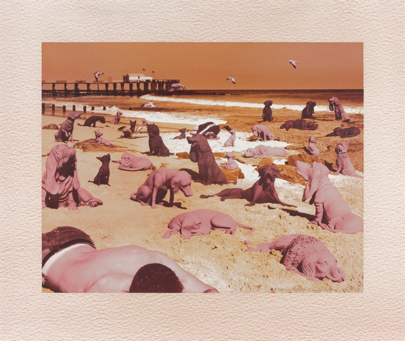 Dogs on the Beach, Sandy Skoglund, 1992