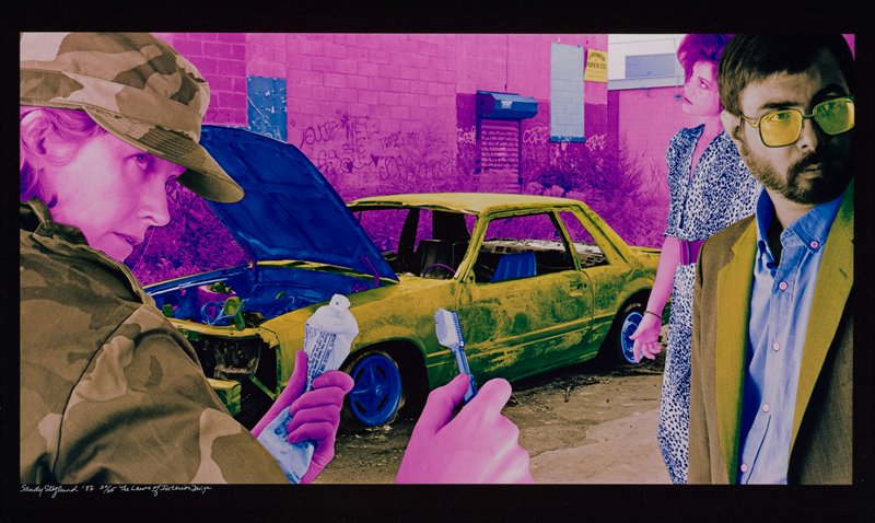 The Laws of Interior Design, Sandy Skoglund, 1986