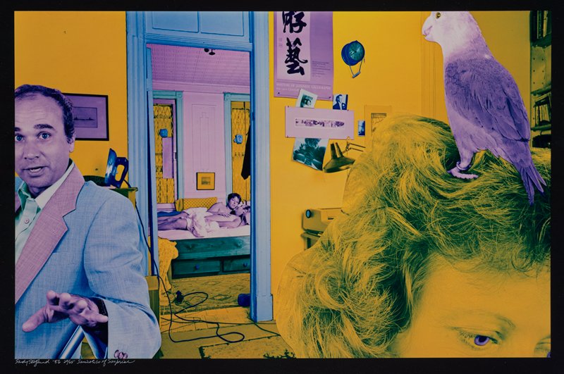 Semiotics of Surprise, Sandy Skoglund, 1986