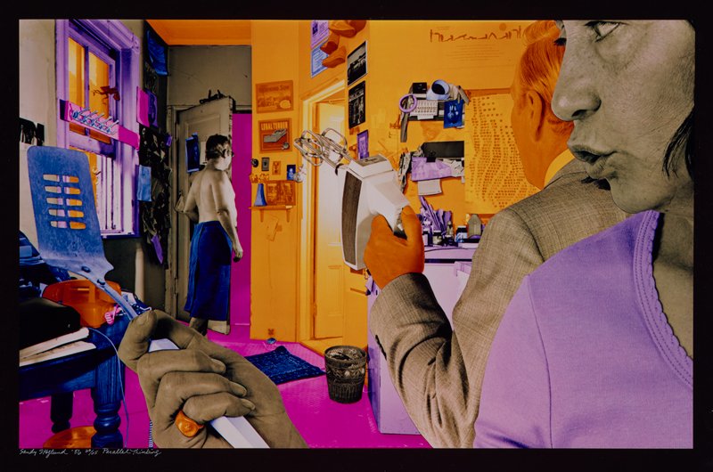 Parallel Thinking, Sandy Skoglund, 1986