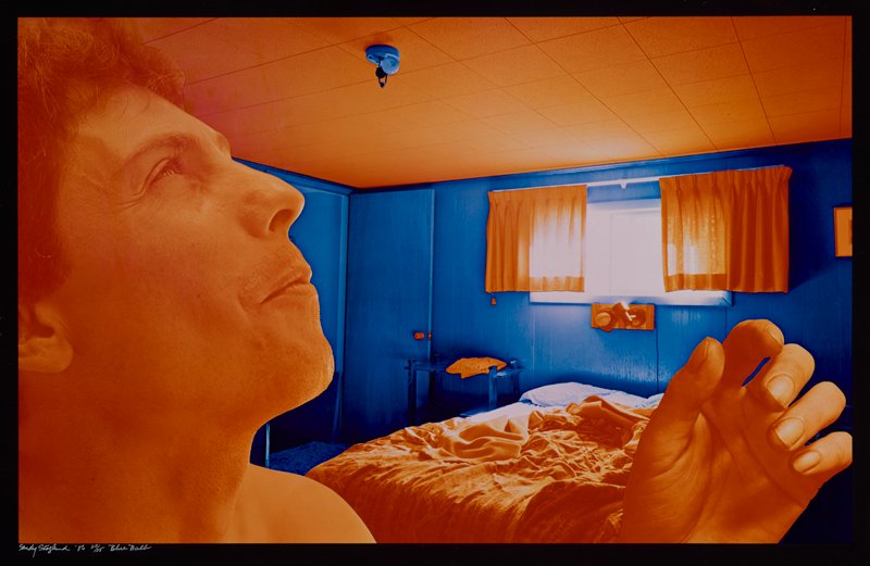 Blue Bulb, Sandy Skoglund, 1986