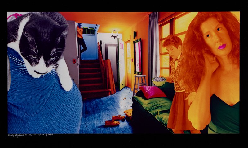 The Sound of Food, Sandy Skoglund, 1986