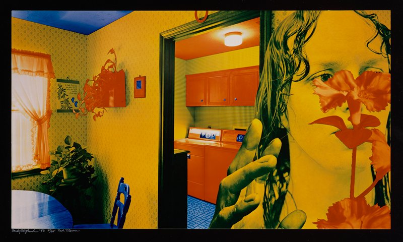 Red Flower, Sandy Skoglund, 1986