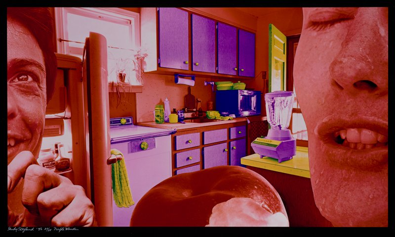Purple Blender, Sandy Skoglund, 1986