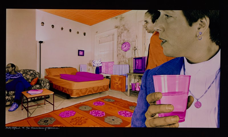 Circumstances of Appearance, Sandy Skoglund, 1986