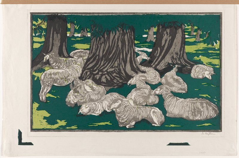 [Sheep resting], Margaret Curtis Haythorne, 1920s