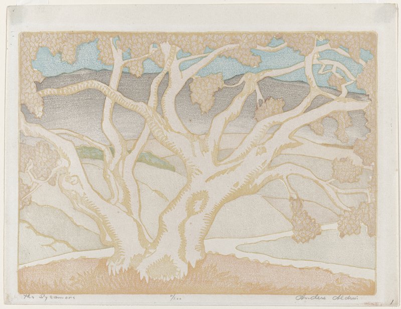 The Sycamore, Anders Gustave Aldrin, c. 1936