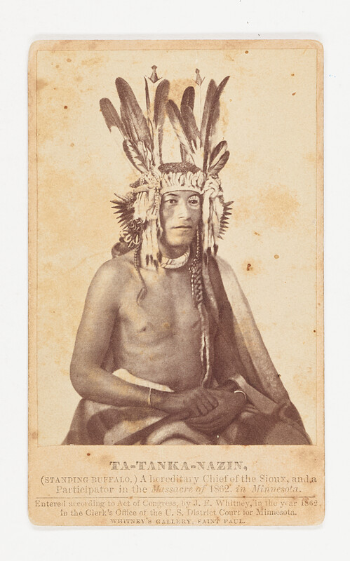Ta-Tanka-Nazin, (Standing Buffalo.), Joel E. Whitney, 19th century