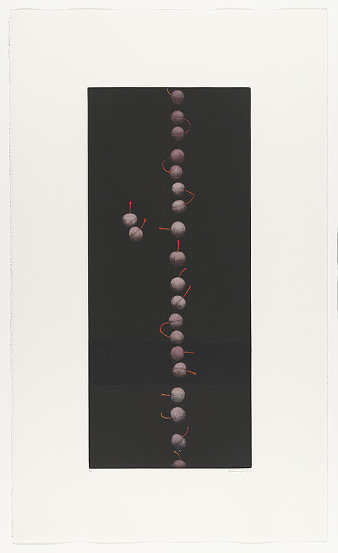 Twenty-Two Cherries, Hamaguchi Yōzō, 1988–91