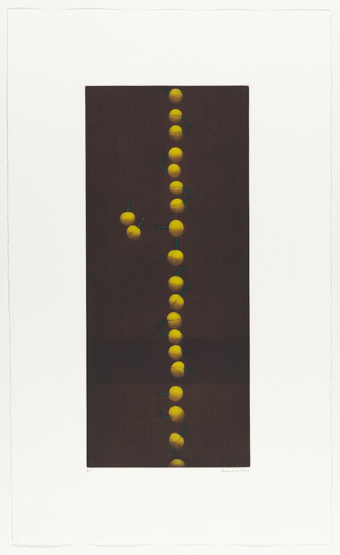 Twenty-Two Cherries, Hamaguchi Yōzō, 1988–91