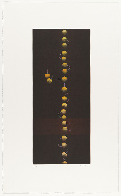 Twenty-Two Cherries (XX. said their nevers they slept their dream), Hamaguchi Yōzō, 1988–91