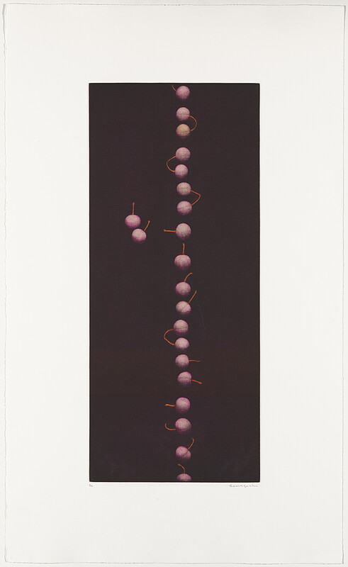 Twenty-Two Cherries, Hamaguchi Yōzō, 1988–91