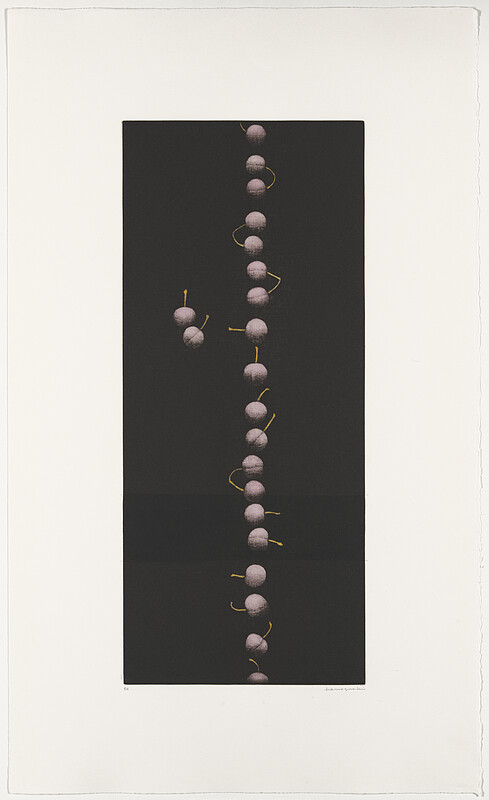Twenty-Two Cherries, Hamaguchi Yōzō, 1988–91