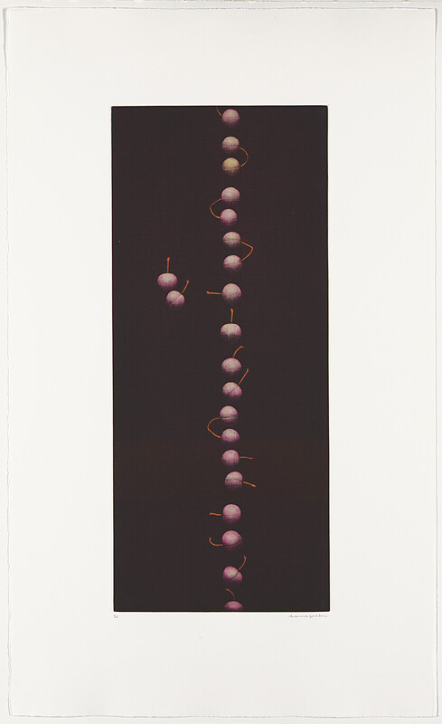 Twenty-Two Cherries, Hamaguchi Yōzō, 1988–91
