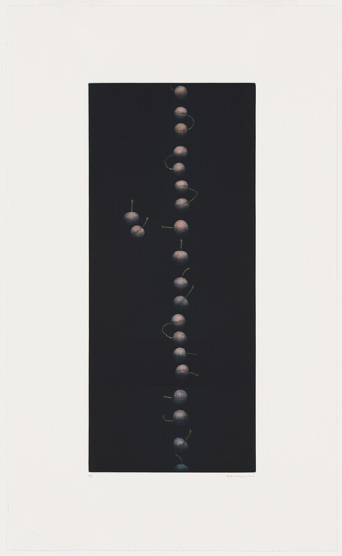 Twenty-Two Cherries, Hamaguchi Yōzō, 1988–91