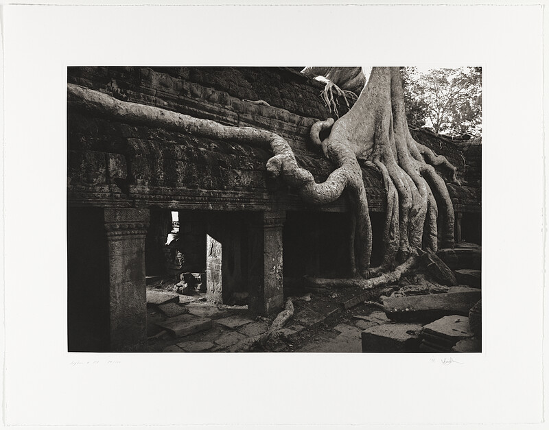 Angkor 158, Ta Prohm, Kenro Izu, 1994 (printed 1996)