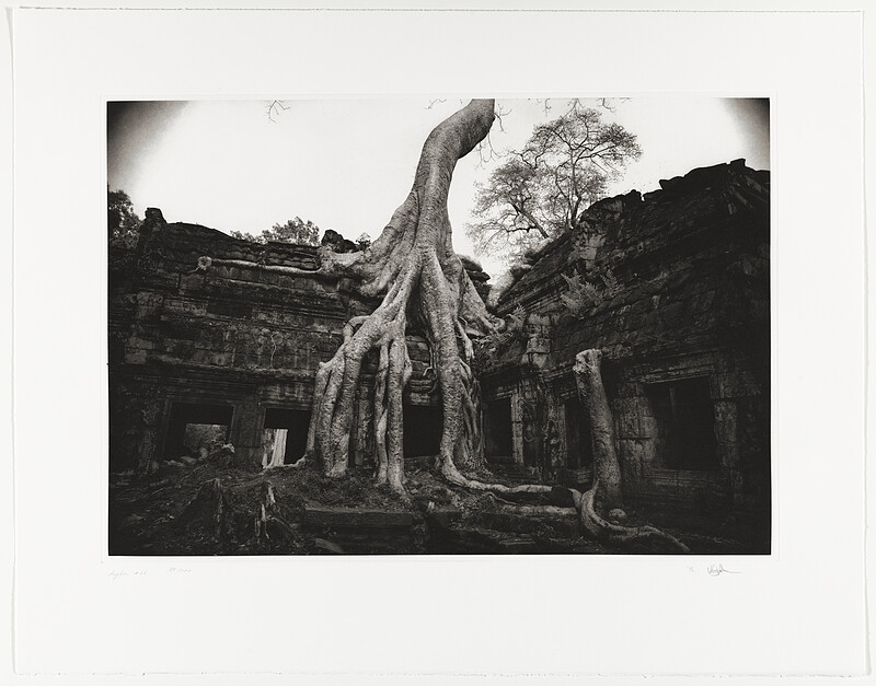 Angkor 26, Ta Prohm, Kenro Izu, 1993 (printed 1996)