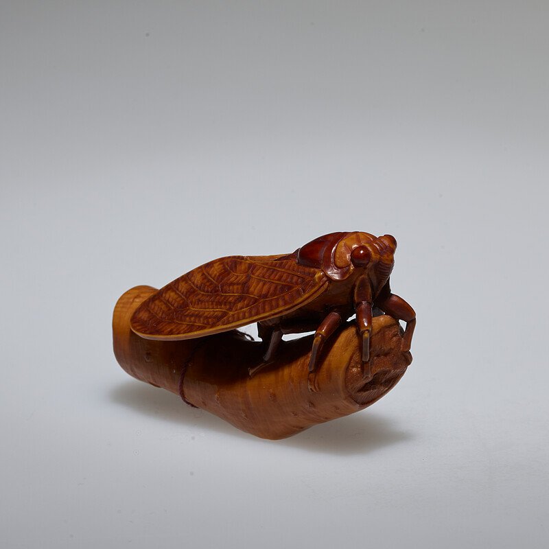 Giving Birth (Large Brown Cicada), Kobayashi Senpo, 1979