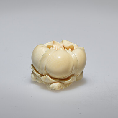 Plum, Sakurai Hideyuki, 1970s–80s