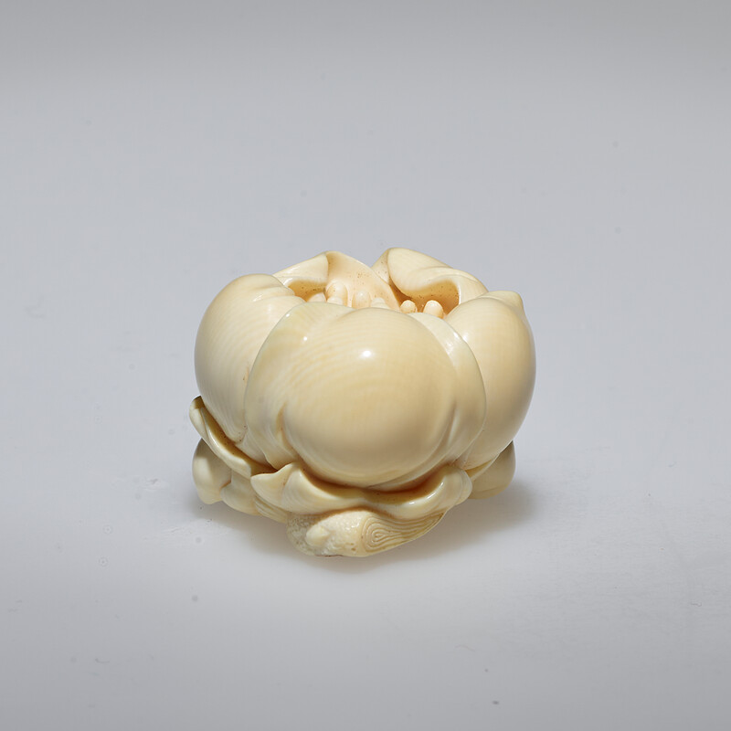 Plum, Sakurai Hideyuki, 1970s–80s