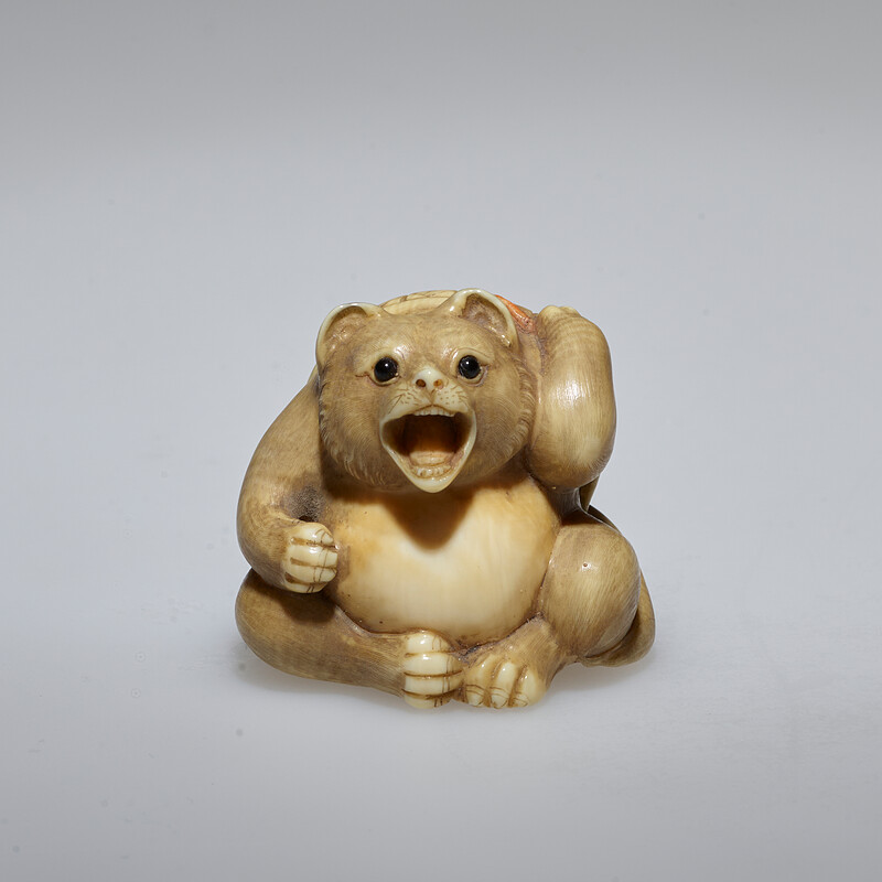 Tanuki, Tachihara Kangyoku, 1972