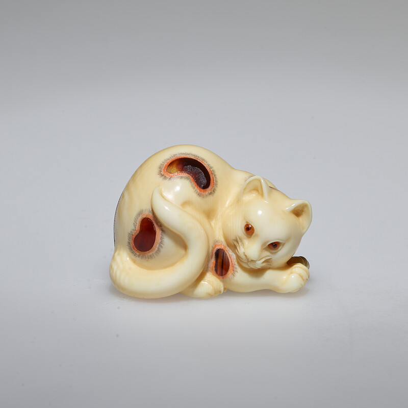 Cat, Tachihara Kangyoku, 1974