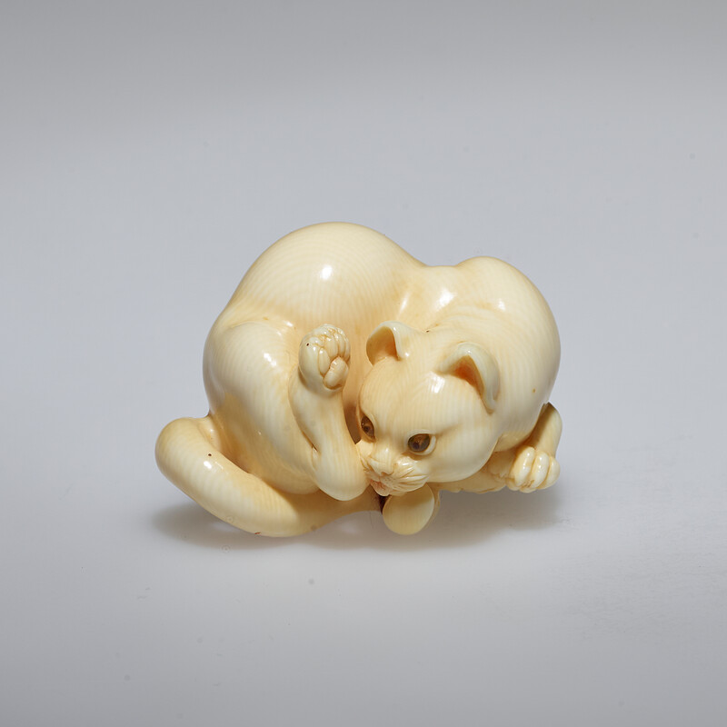 Cat, Tachihara Kangyoku, 1976