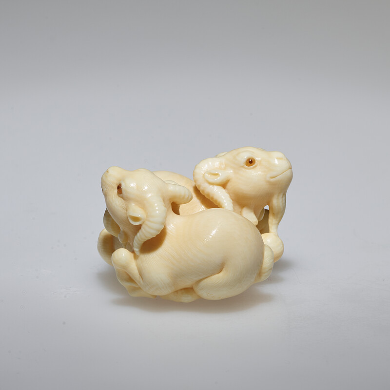 Rams, Tachihara Kangyoku, 1979