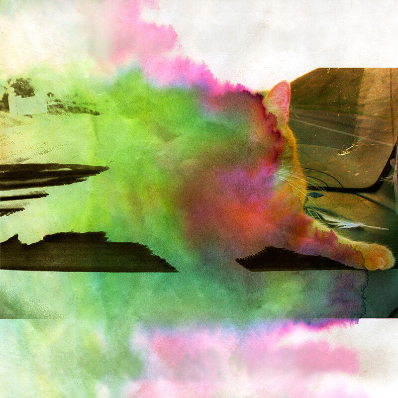 Bun-Bun, Paul Shambroom, 2013