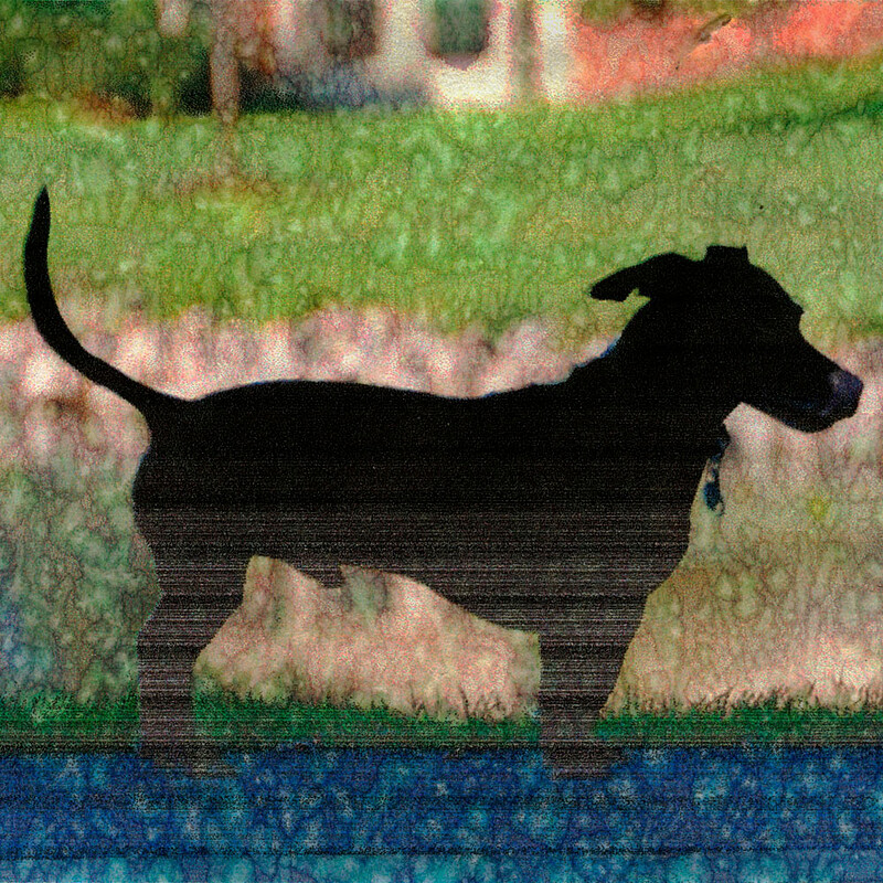Freddy, Paul Shambroom, 2013