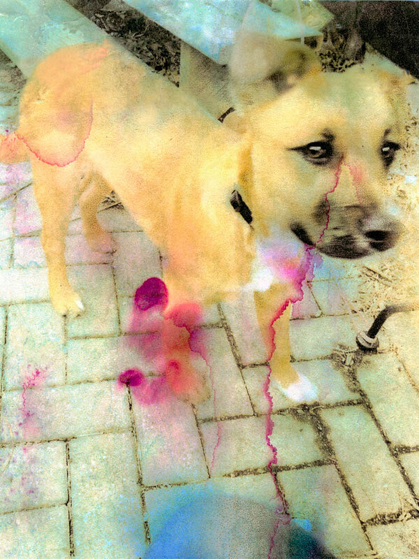 Billie, Paul Shambroom, 2014