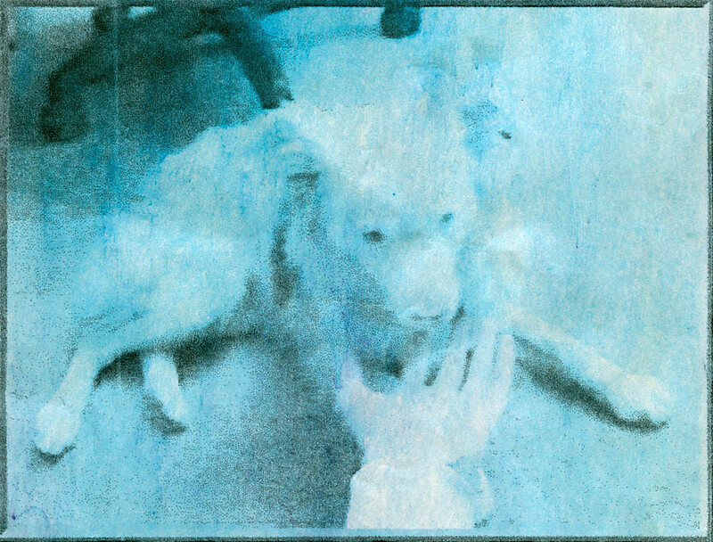 Rory, Paul Shambroom, 2014