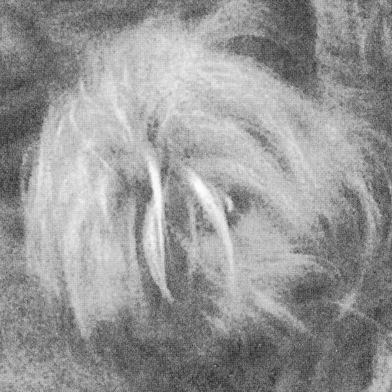 Sophie, Paul Shambroom, 2014