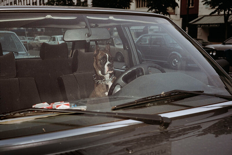 Untitled (Paris, France), Paul Shambroom, 1981 or 1984