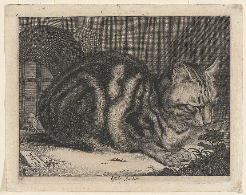 The Large Cat, Cornelis Visscher, c. 1657