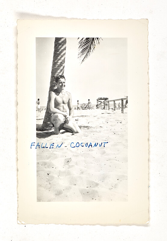 [Man seated against palm tree on beach with caption “fallen coconut”], 1950