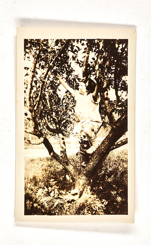 [Girl climbing tree], c. 1930