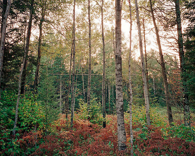 ELF (Extremely Low Frequency)  28 mile long antenna for submerged submarine radio communication, Chequamegon National Forest, Clam Lake, Wisconsin, Paul Shambroom, 1994